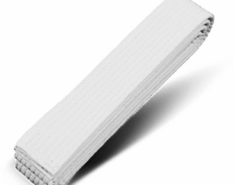 White Belt (10th Kup)