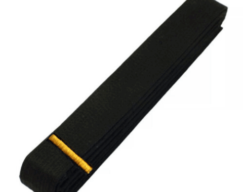 Black Belt (1st Dan Poom)