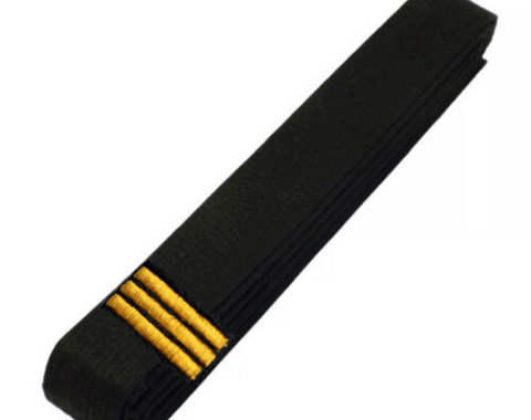Black Belt (3rd Dan Poom)