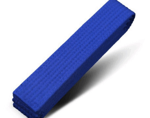 Blue Belt (4th Kup)