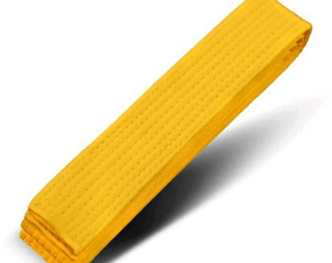 Yellow Belt (8th Kup)