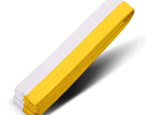 High White Belt (9th Kup)